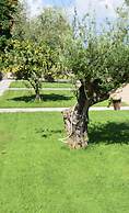 Anastasios Olive Garden Apartments