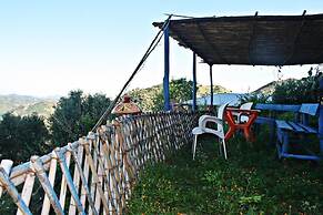 Nefzi Guest House