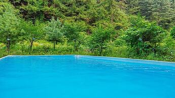 Sunny Hill Pension
