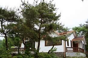 Asteria Pension