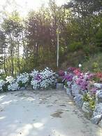 Sunshine Garden Pension