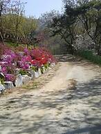 Sunshine Garden Pension