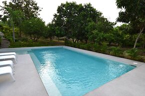 Agaves 204