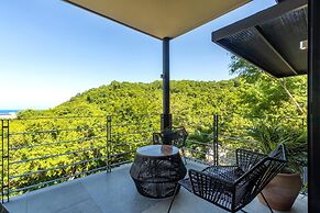 Agaves 204