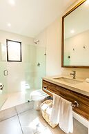 Agaves 204