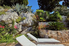 House Agave