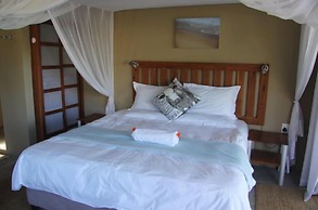 Baleia Azul 11