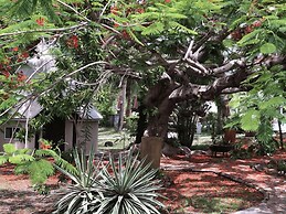 Naina Park Resort