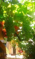 B&B Bahodir