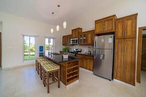 Contemporary Design With Lots of big Windows