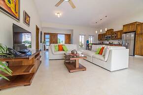 Contemporary Design With Lots of big Windows