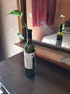 Hotel Rio Colima