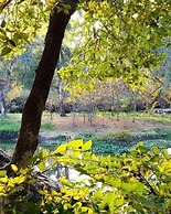 River Rock Guesthouse