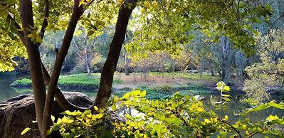 River Rock Guesthouse