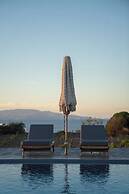 Volcanic Arc Suites