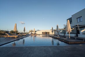 Volcanic Arc Suites