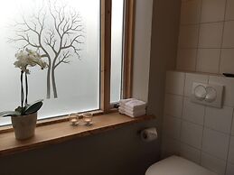 Studio Aurora