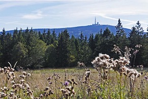 Hotel Zum Harzer