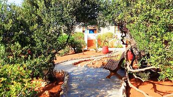 Zorbas Beach Village Hotel