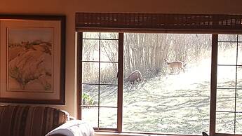 Eco Eden Bush Lodge