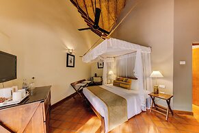 Cinnamon Wild Yala