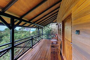 Cinnamon Wild Yala