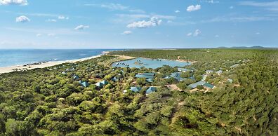 Cinnamon Wild Yala