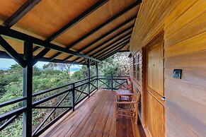 Cinnamon Wild Yala