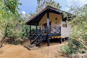 Cinnamon Wild Yala