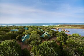 Cinnamon Wild Yala