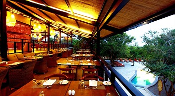 Cinnamon Wild Yala