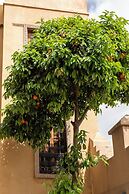 Riad Layalina