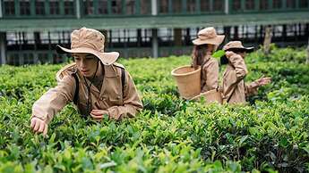 Ceylon Tea Trails - Relais and Chateaux - All Inclusive