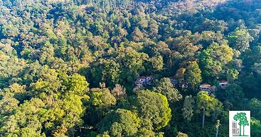 The Tall Trees Munnar