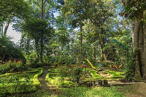 The Tall Trees Munnar