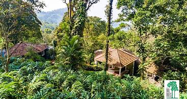 The Tall Trees Munnar