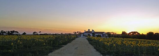 Herdade Do Touril