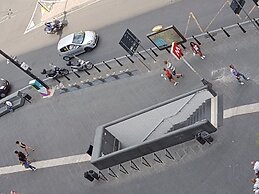 Le Orchidee