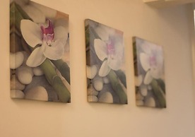 Le Orchidee