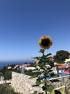 Apartmani Ana