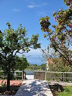 Apartmani Ana
