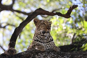 Karongwe- Shiduli Safari Lodge