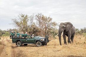 Karongwe- Shiduli Safari Lodge