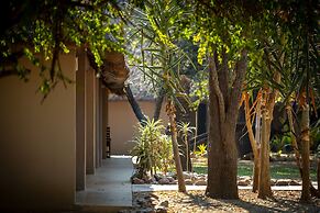 Karongwe- Shiduli Safari Lodge