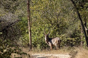 Karongwe- Shiduli Safari Lodge