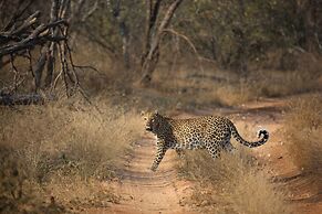 Karongwe- Shiduli Safari Lodge