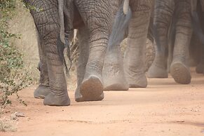 Karongwe- Shiduli Safari Lodge