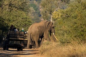 Karongwe- Shiduli Safari Lodge