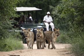 Karongwe- Shiduli Safari Lodge
