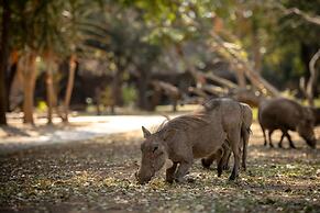 Karongwe- Shiduli Safari Lodge